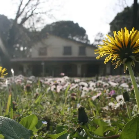 Ca Del Fondo Bed & Breakfast